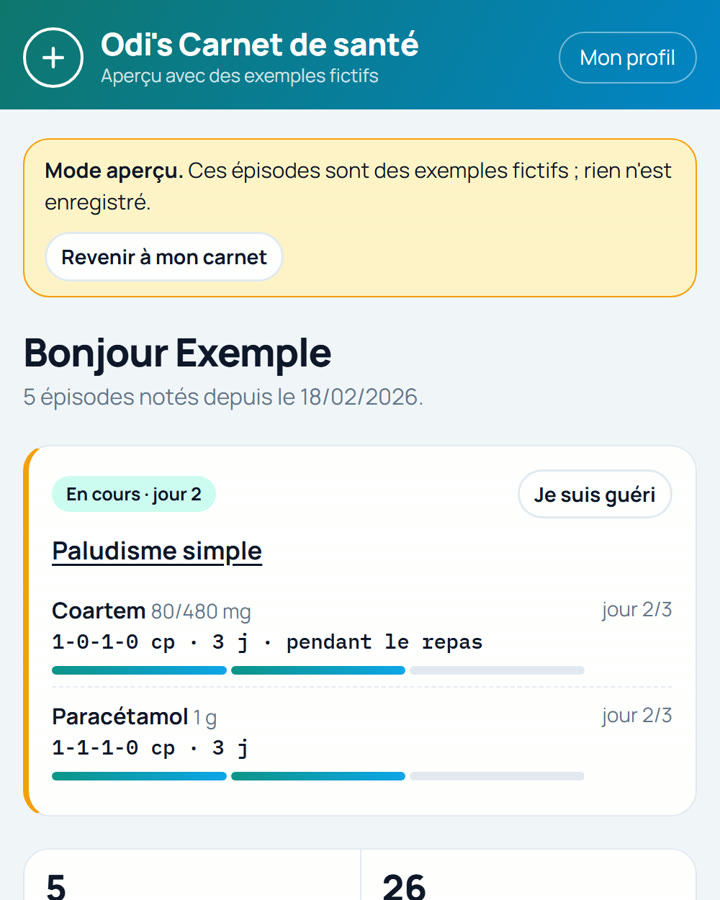 Accueil du Carnet de santé : traitement en cours